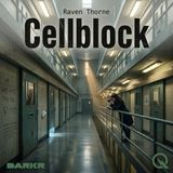 Cellblock - The Forgotten Yard: Women Erased by a System Built for Men