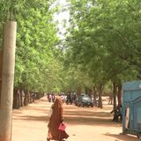 Le journal du 20 avril 2026 - Sécurité et éducation au Niger : la stratégie de défense du Niger et le lancement des épreuves du BEP-CAP