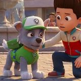 🐾🚨 Cuento El Gran Error 😩 Trabajando la Frustración 🐶