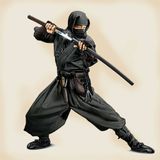 Le spie per eccellenza: i ninja