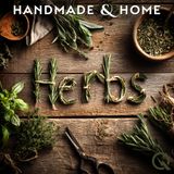 A Beginner's Guide to Growing Fresh Herbs