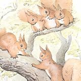 Die Geschichte von Squirrel Nutkin | Herbstgeschichten
