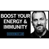 Using Cortisol & Adrenaline to Boost Our Energy & Immune System Function