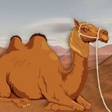 El Tío Wiggily y el Camello | Cuentos De Animales