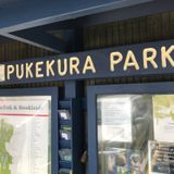 Pukekura Park & Brooklands Zoo, NZ #3