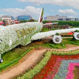 Oasi fiorita nel deserto: il Dubai Miracle Garden