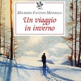 Maurizio Fantoni Minnella "Un viaggio in inverno"