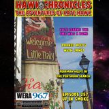 Episode 257 Hawk Chronicles "Up In Smoke"
