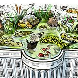 How to DRAIN "the SWAMP"