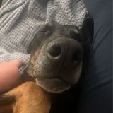 Episode 295 - Time is fake, but timing is everything.