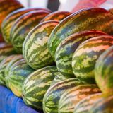 La batalla de la sandía: las importaciones de Marruecos amenazan a los productores españoles