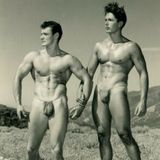 1950s physique photo