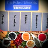 MINERALS & Their ROLE IN HEALTH
