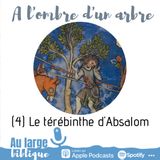 #175 A l'ombre d'un arbre (4) Le térébinthe d'Absalom (2S 18)