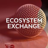 Highlights: Diving into the Open Calls | Salvatore Custureri, T6 Ecosystems