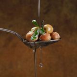 Dietary Strategies for Kidney Health and Disease Prevention
