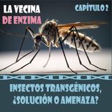 Insectos transgénicos, ¿solución o amenaza?