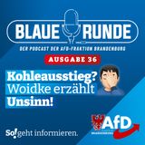 Kohleausstieg? Woidke erzählt Unsinn! | Die Blaue Runde, Ausgabe 36/23 vom 09. April 2023