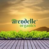 Organic Products Provide At Arendelle organics