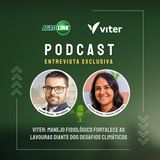 Estratégias integradas aumentam a resiliência das plantas e ajudam a preservar o potencial produtivo