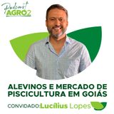 Desafios e soluções na criação de peixes #372