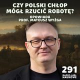 #291  Mit pańszczyzny – szlachta też miała wobec chłopów obowiązki | prof. Mateusz Wyżga