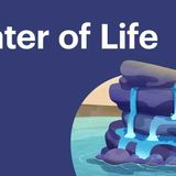 Why Water Matters in the Bible
