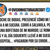 En Mi Noche De Bodas, Presencié Cómo Mi Suegro Golpeaba A Mi Suegra. Corrí A Salvarla, Pero Solo Recibí Una Bofetada De Mi Marido; Le Rompí