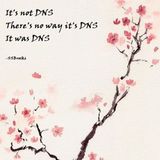 322: It Was DNS