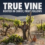 True Vine - The Vine That Israel Was Supposed to Be