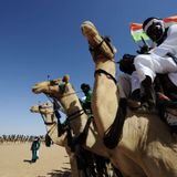 Le journal du 21 octobre 2025 - Cure salée 2025 : le comité régional présente le bilan de la 58ᵉ édition