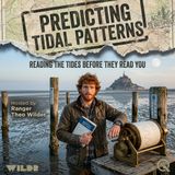 Predicting Tidal Patterns - The Moon Is Trying to Kill You (And the Sun Is Helping)