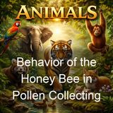 Behavior of the Honey Bee in Pollen Collecting - D B Casteel