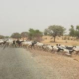 Birni N’Konni, justice et sport au programme (Le Niger sur Kalangou)
