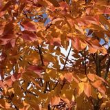 15th Anniversary Episode of The Frontier Beyond Fear