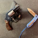 Baby Guns Mouse Guns Back Up Gun Bug Guns - It's Better than Nothing