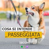 118 - Cosa si intende per passeggiata - q&a