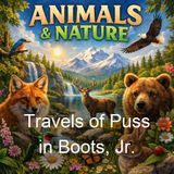 Travels of Puss in Boots Jr - David Cory
