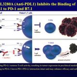 ASCO Lung Cancer Highlights, Part 13: The Immune Checkpoint Inhibitor MPDL3280A in Advanced NSCLC (video)