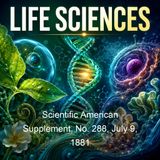 Scientific American Supplement No 288 July 9 1881 - Various