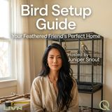 Bird Setup Guide - Master the essentials with Juniper Snout