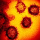 México no cerrará sus fronteras por pandemia de coronavirus: Ssa