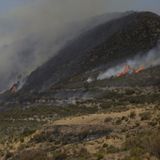 Breves de actualidad: El Ministerio de Agricultura recibirá 27 millones para paliar los daños de los incendios