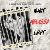 What Melissa Left || Episode 4: The Call