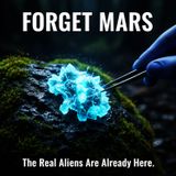 Forget MARS: The Real ALIENS Are Already Here.