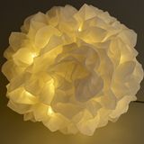 06_01_Il matrimonio di Lisa