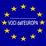 A Strasburgo l'Eurocamera vota un condanna risoluta alla legge ungherese anti-Lgbt