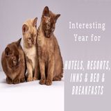 Interesting Year for Hotels, Resorts, Inns & Bed & Breakfasts | Ep. #174