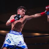 Paul Hernandez / Fight Night At The Fairplex
