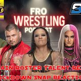 WWE Main Roster and NXT Talent Cuts
